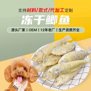 营养猫粮宠物食品